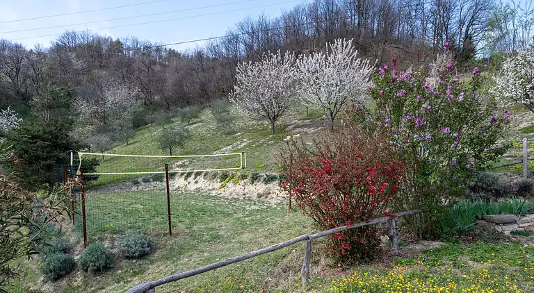 Feriebolig i Cossano Belbo