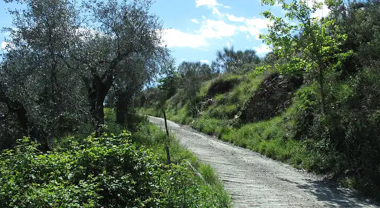 Feriebolig i Pietrabruna