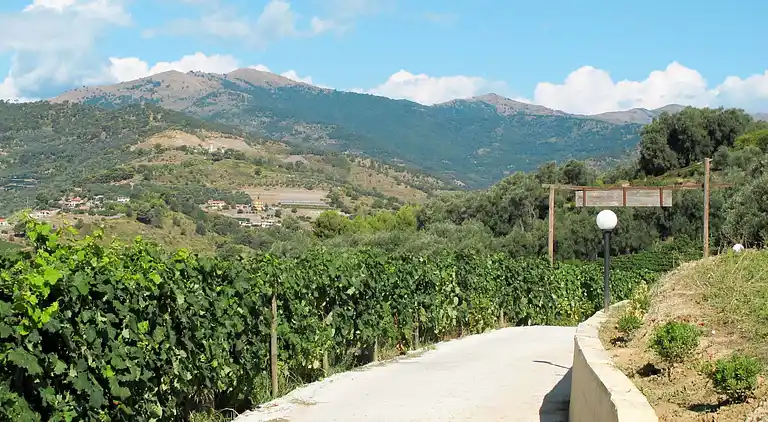 vakantiehuis in San Lorenzo al Mare