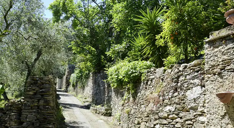 Feriebolig i Bellissimi