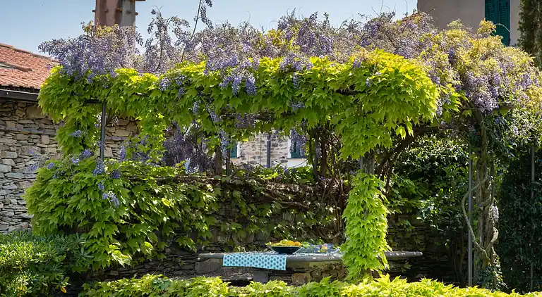 Feriebolig i Bellissimi