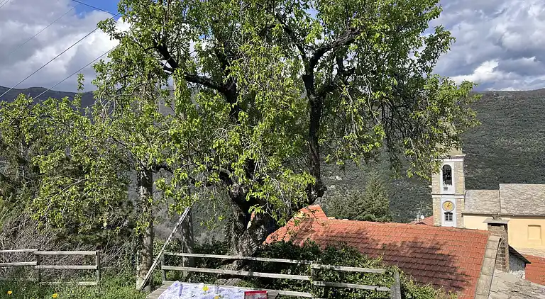 Feriebolig i Valloria