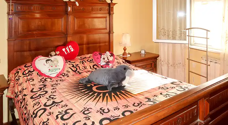 Feriebolig i Poggialto