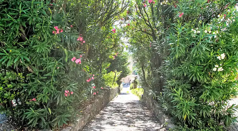 Feriebolig i Albisola Superiore