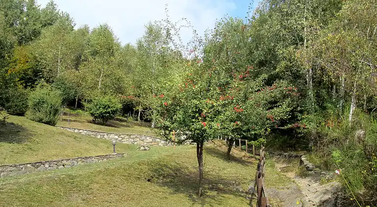 Holiday home in Plesio