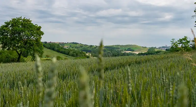 Holiday home in Francia