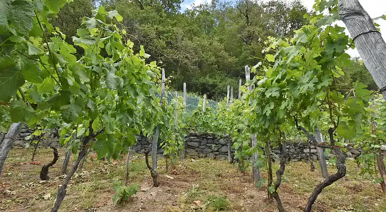 Holiday home in Santa Croce