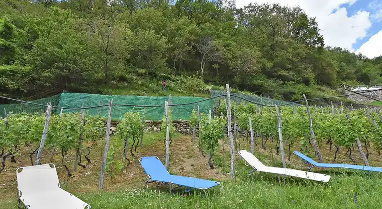 Holiday home in Santa Croce