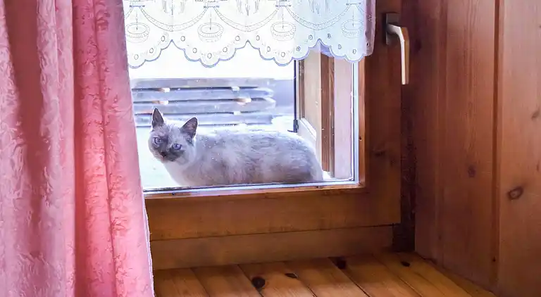 Feriebolig i Sant'Anna