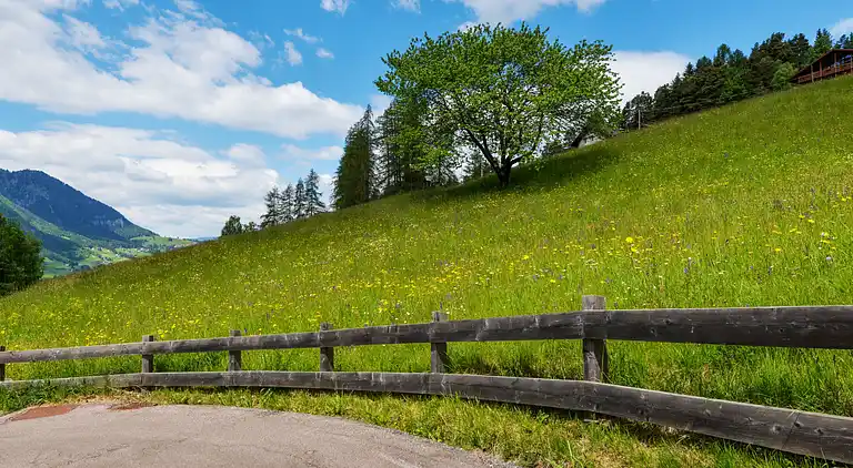 Feriebolig i Urtijëi