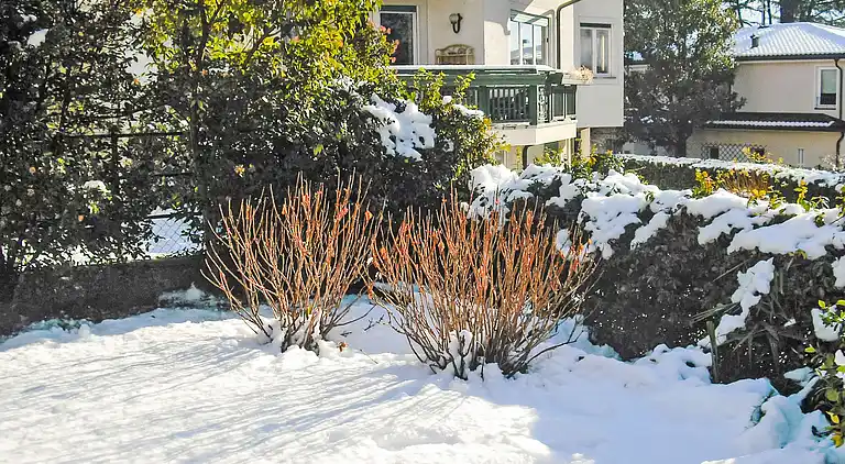 Holiday home in Merano