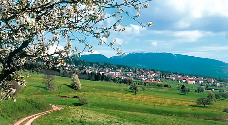 Semesterbostad i Ronzone