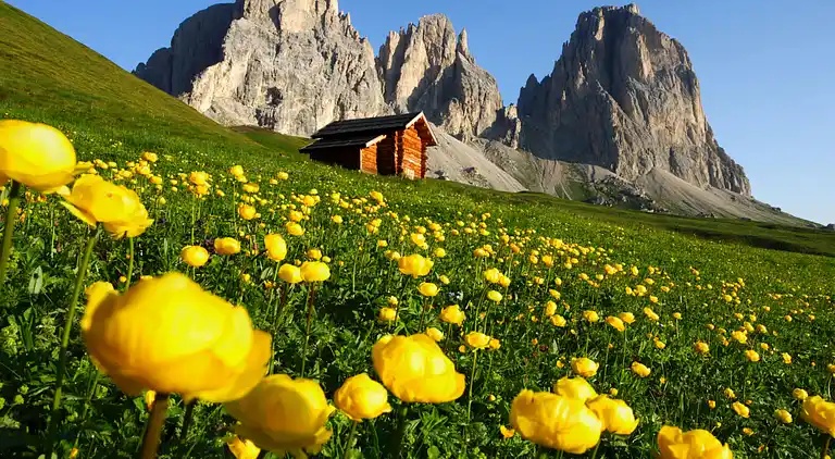 Casa vacanze in Soraga