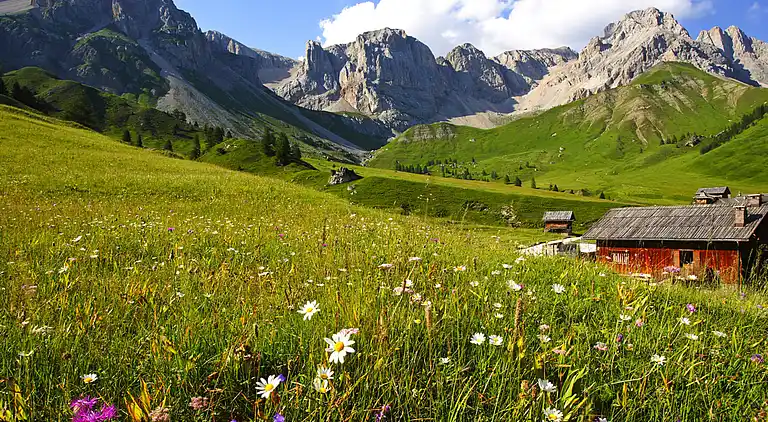 Ferienhaus in Soraga di Fassa
