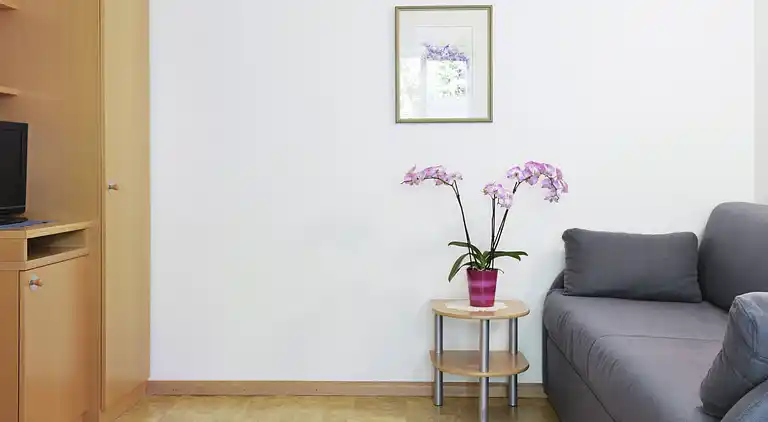 Feriebolig i Andrian