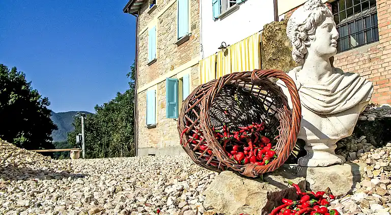 Holiday home in Salsomaggiore Terme