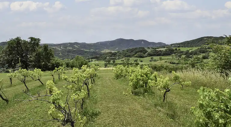 Holiday home in Salsomaggiore Terme