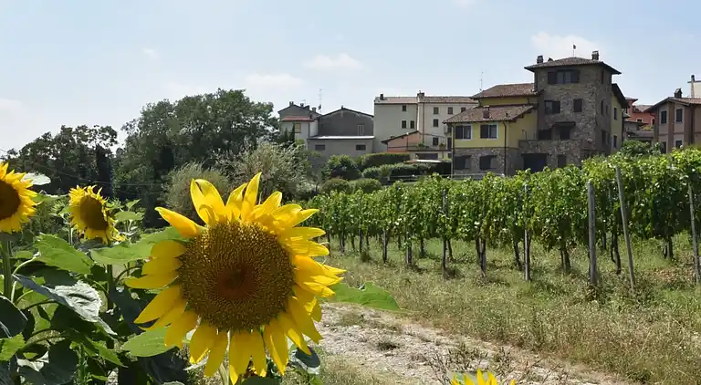 Feriebolig i Ca' dei Cristina