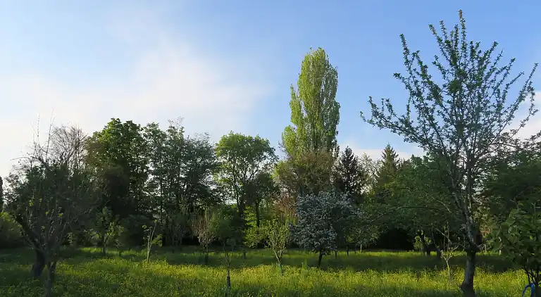 Feriebolig i Strassoldo