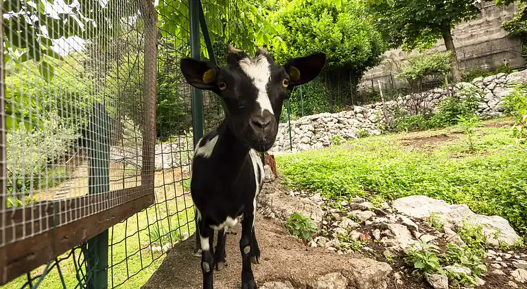 Feriebolig i Anduins