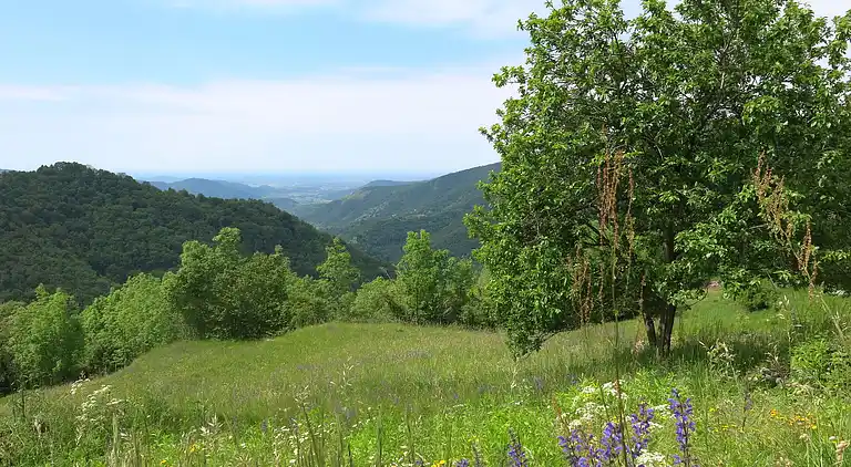 Holiday home in San Leonardo