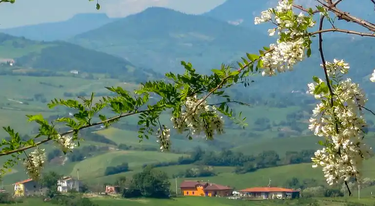 Feriebolig i Zollara