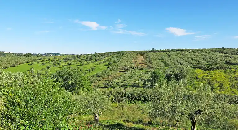 Holiday home in Penne