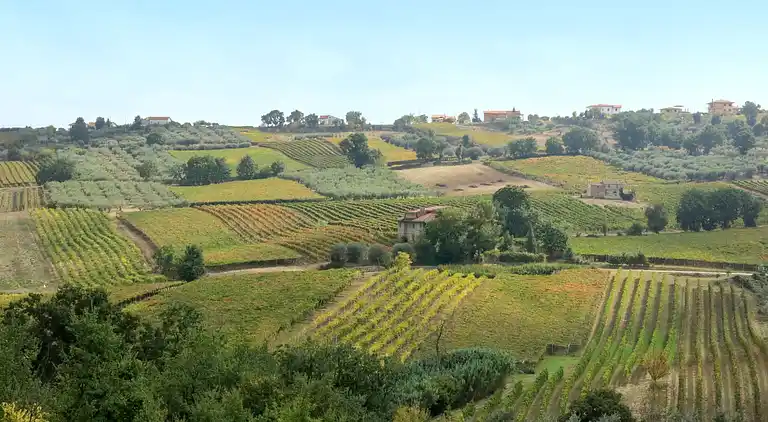 Holiday home in Casalbordino