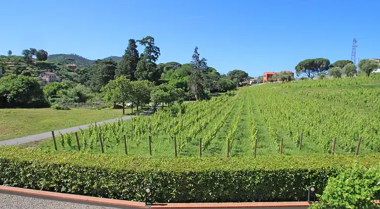 Holiday home in Sestri Levante