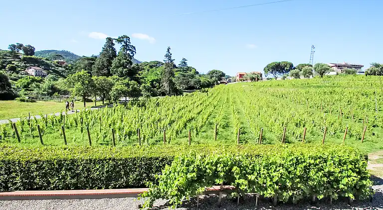 Holiday home in Sestri Levante