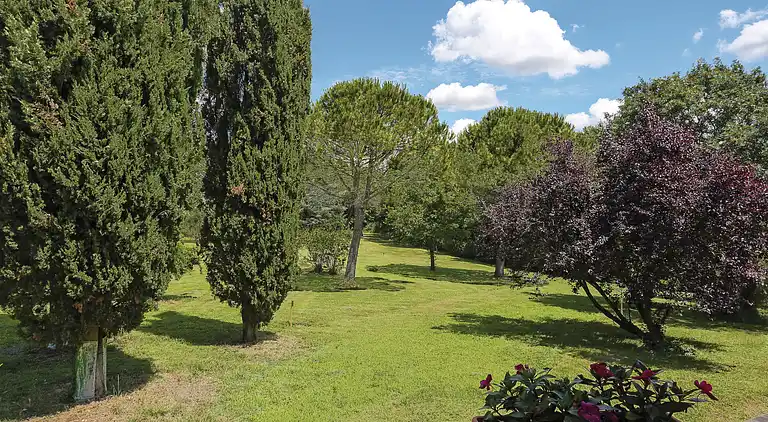 Feriebolig i Terricciola