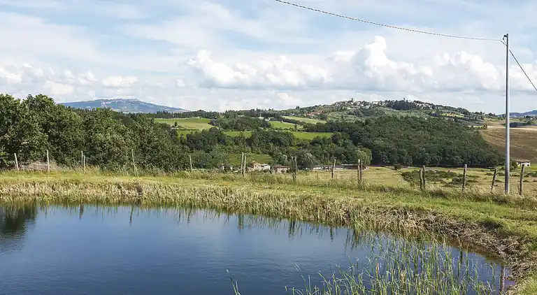 Feriebolig i Terricciola