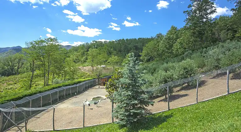 Holiday home in Tresana