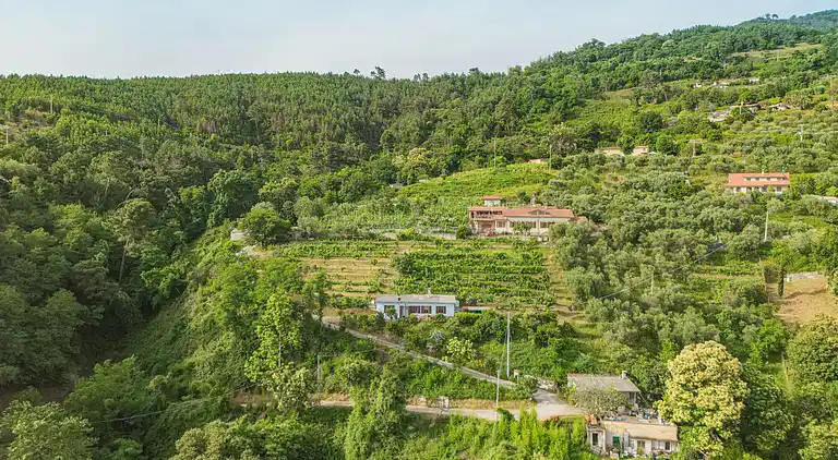 Holiday home in Montignoso