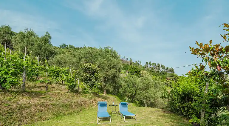 Holiday home in Montignoso