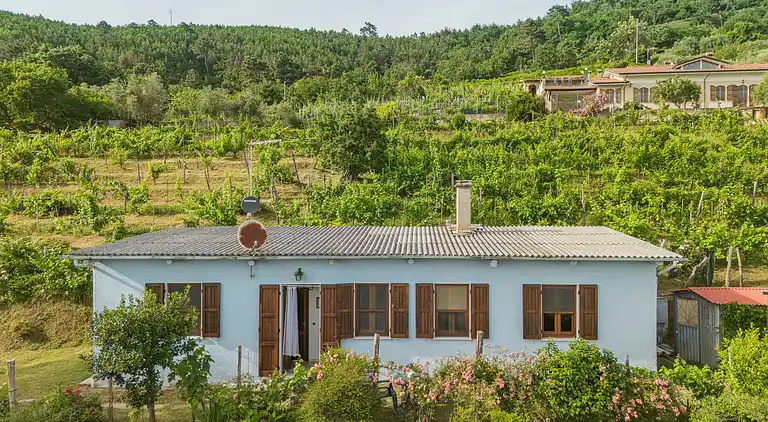 Holiday home in Montignoso