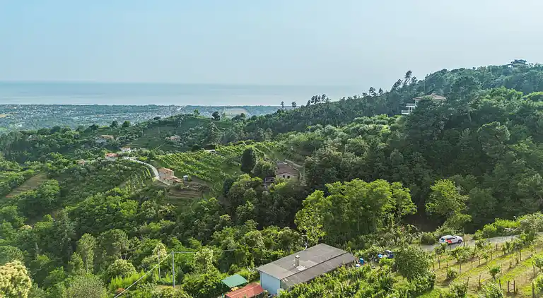 Holiday home in Montignoso