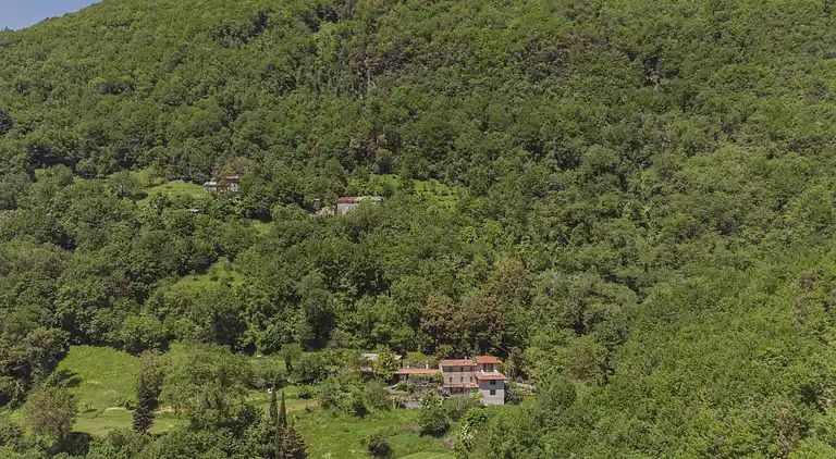 Holiday home in Camaiore