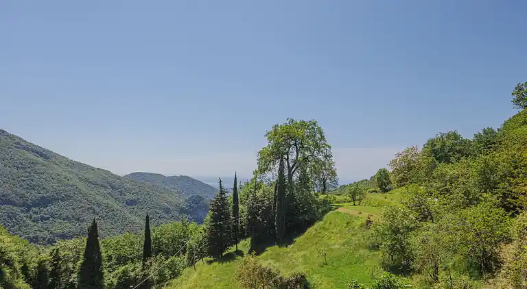 Holiday home in Camaiore