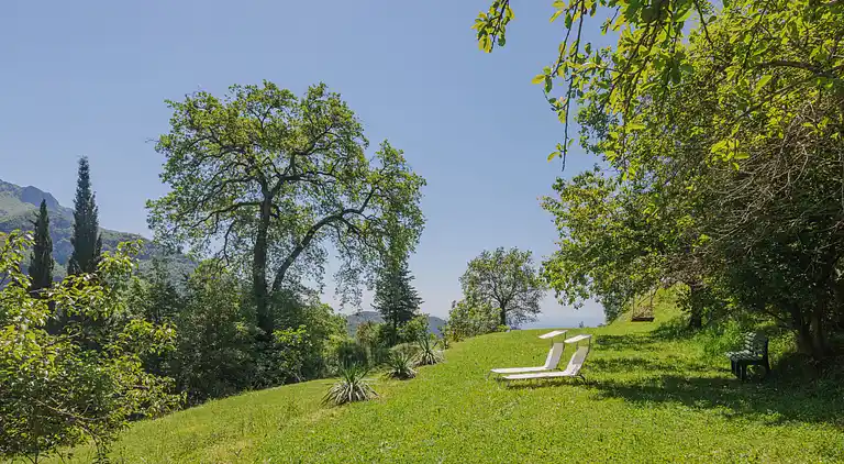 Holiday home in Camaiore