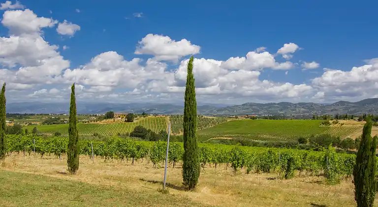 Semesterbostad i Cerreto Guidi