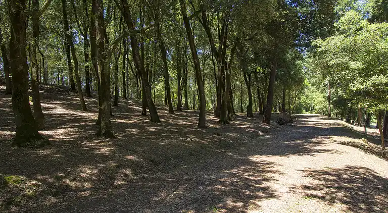 Feriebolig i Gambassi Terme