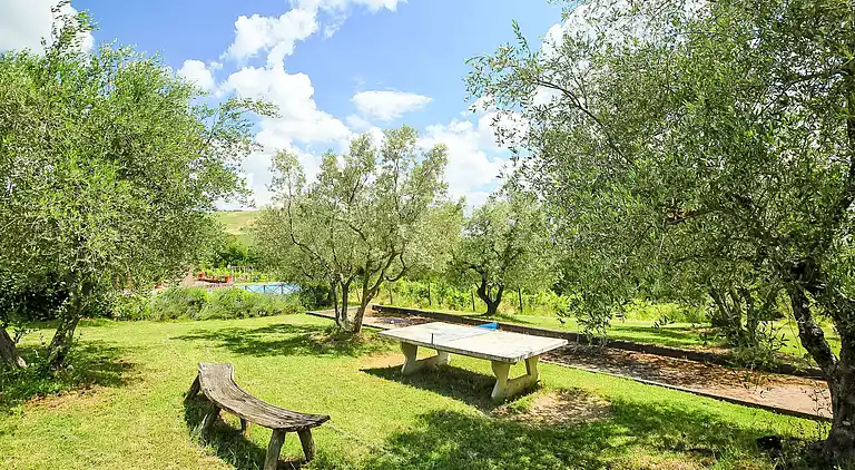 Holiday home in Radicofani