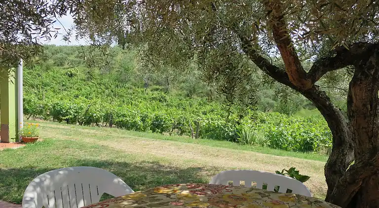 Feriebolig i Certaldo