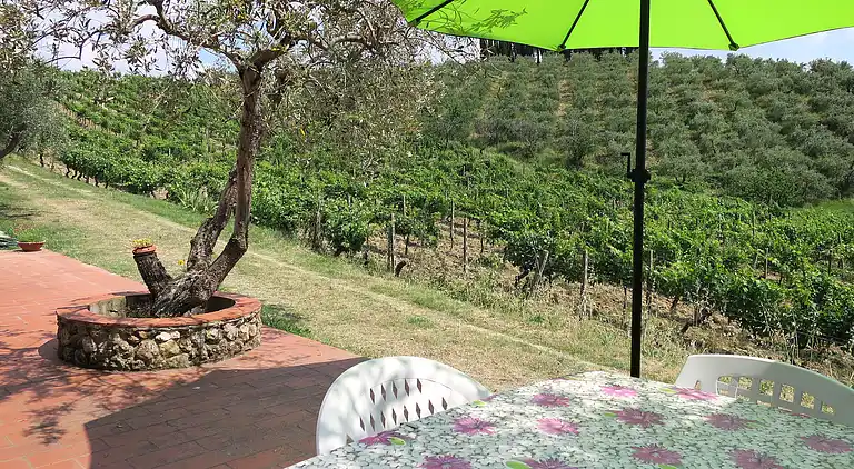 Feriebolig i Certaldo