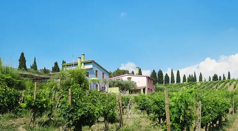 Feriebolig i Certaldo