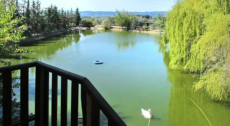 Feriebolig i Gorgognano