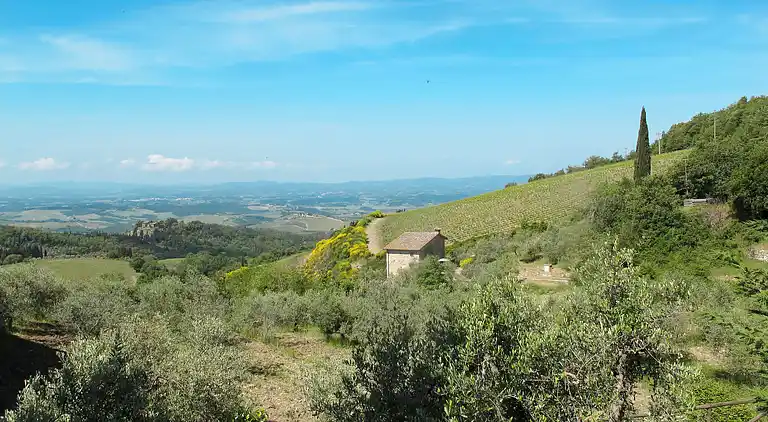 Feriebolig i Castellina in Chianti