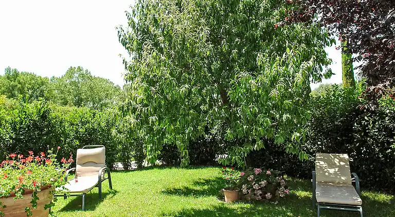 Feriebolig i Castellina in Chianti