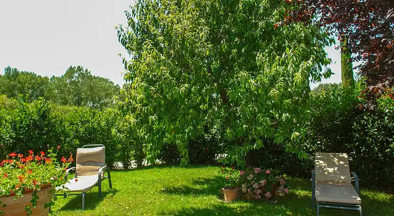 Feriebolig i Castellina in Chianti